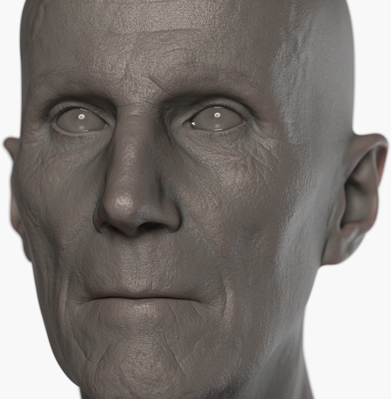 Clay render of an older male head 3D scan showing fine skin pore and wrinkle surface detail captured by photogrammetry